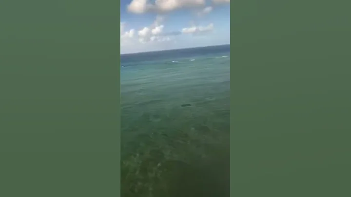 The Touchdown finally home after 17 years