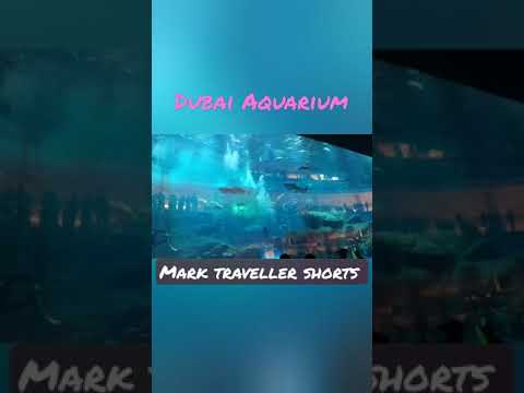 #shorts #dubai #dubaiaquarium #dubaiaquariumandunderwaterzoo #fish #aquariumdiving #marktraveller
