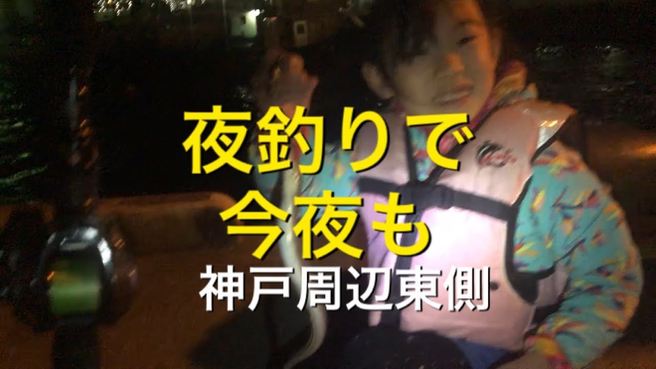 夜釣り で今夜も フィッシングマックス 関西の釣果 大阪 神戸 和歌山の釣果情報