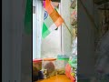 Flag in India beautiful 🇮🇳🇮🇳 #popular #shortvideo #minivlog