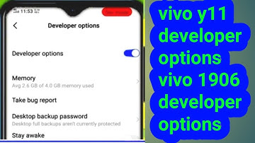 vivo y11 developer options l developer settings vivo y11 l vivo 1906 developer options