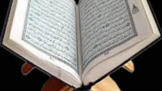 قرآن كريم سورة البقرة بصوت جميل  الشيخ فارس عباد
