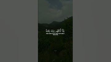 وإذا مس الناس ضر دعوا ربهم منيبين إليه /سورة الروم |الشيخ ياسر الدوسري