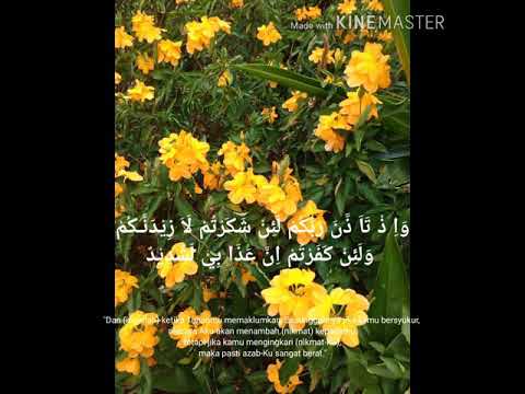 Surat Ibrahim ayat 7 : mas Rahmatulloh - YouTube