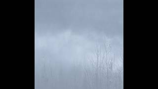 Shokh -- Chunlspz Zwplsa Klu Jz80