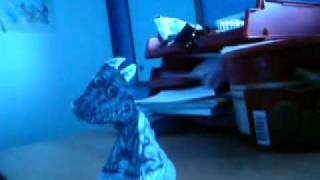 Amazing Dragon Illusion