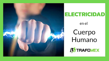 ¿Cuáles son los síntomas de un exceso de electricidad en el organismo?