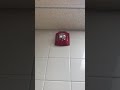 Throwing a paper towel ball at a fire alarm.