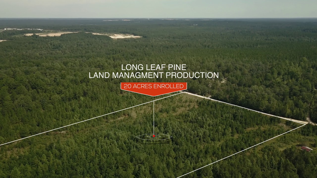 387 Gainsborough Ln Cameron NC 28326 Land Tour YouTube