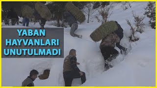 Karlı Yolları Aşıp, Hayvanlar Için Doğaya Yem Bıraktılar