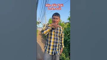 Cây Mận Điều Thái 2 năm tuổi | 0386569374 - Ngọc Ngân Bến Tre | Chuyên cây độc lạ