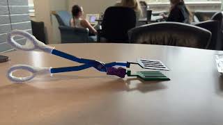 Accessible Spatula Scissors Demonstration