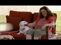 Love at First Bark | Pit Bulls and Parolees | Animal Planet