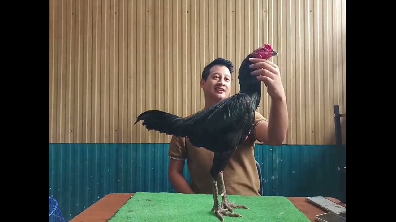 เจ้าสุดใจ ลูกน้ำเค็มฟาร์ม