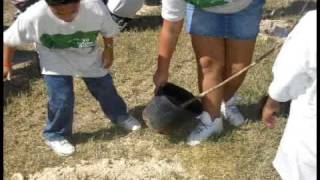 Ignacio Barsottelli. Program Of Corporate Reforestation.