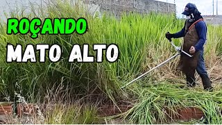 Roçando mato alto |  Dia dia do jardineiro