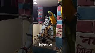 result me 100 percent aaye ge subscribe me