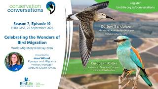 Celebrating the wonders of bird migration- Jess Wilmot (Conservation Conversations, 6 Oct 2026)