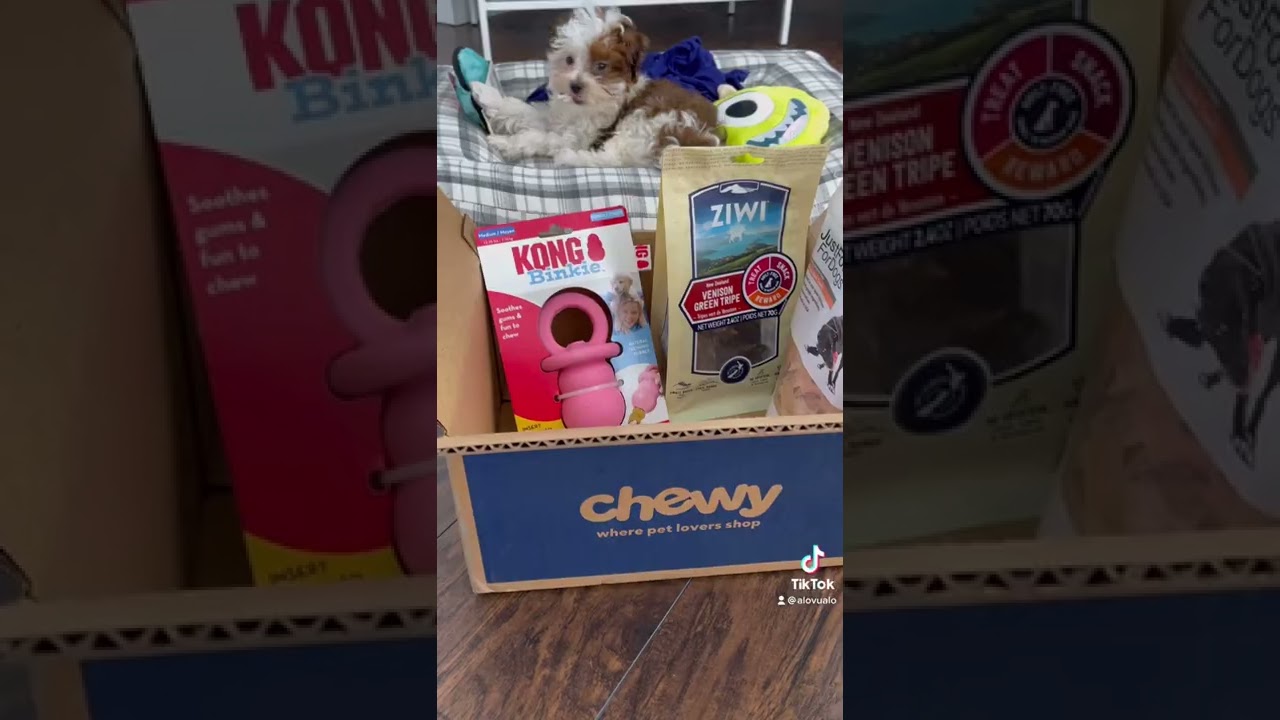 Chewy Unboxing