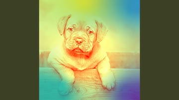 Modish Backdrops for Separation Anxiety