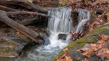 How to Increase Your Capacity for Compassion with Jonathan Foust