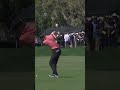 Davis Wedge Swing No Divot 2025 #pgatour #golfswing