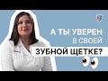 Зуб даю, пригодится! Как правильно выбрать зубную щетку