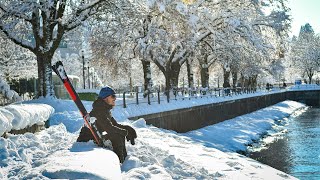 Bregenz City, Vorarlberg, Austria - Winter Am Bodensee