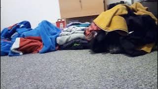 Funny MP4 20250920 174000