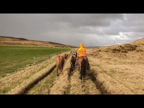 Video: En Visuell Rundtur Genom Landskapet På Island - Matador Network