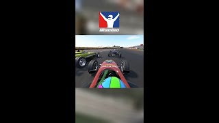 The art of racing in the rain, happy version