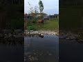 la primavera avanza!