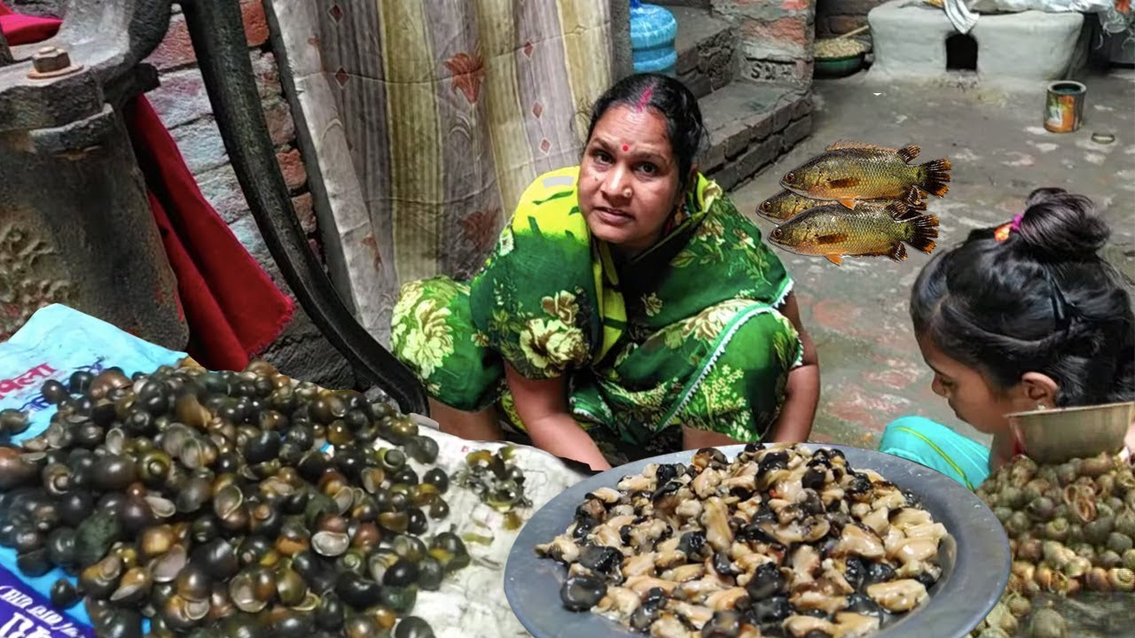 Cooking & Cleaning north east Indian Snails in Village Healthy Snail