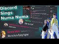 Discord sings dragostea din tei numa numa