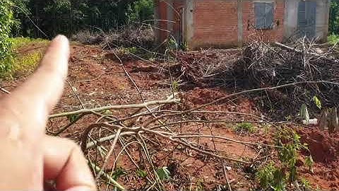 NVT1006 Cần bán nhà vườn 2500m2, xã Phước Tân, Huyện Xuyên Mộc, Tỉnh Bà Rịa Vũng Tàu.