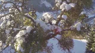 Miniatura de vídeo de "Misteln vom Bam - Adventstimmung im Zillertal"