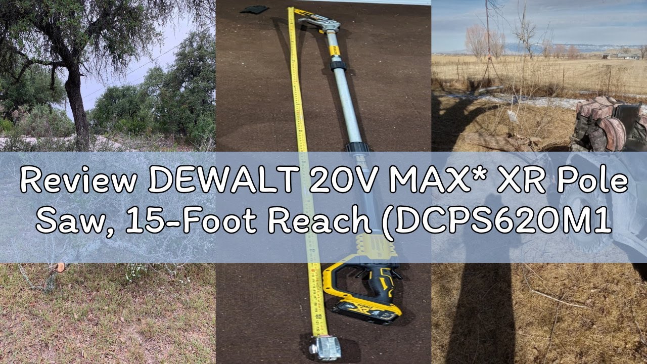 Review DEWALT 20V MAX* XR Pole Saw, 15-Foot Reach (DCPS620M1)