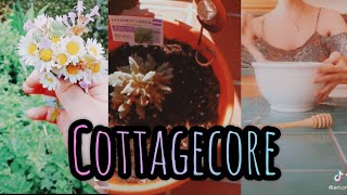 Cottagecore #3 (w/cooking)