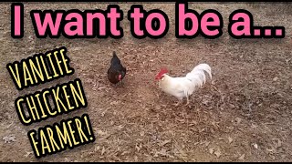 I Want to Be a Van Life Chicken Farmer! - Ann's Tiny Life