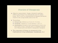 Osteoporosis - CRASH! Medical Review Series