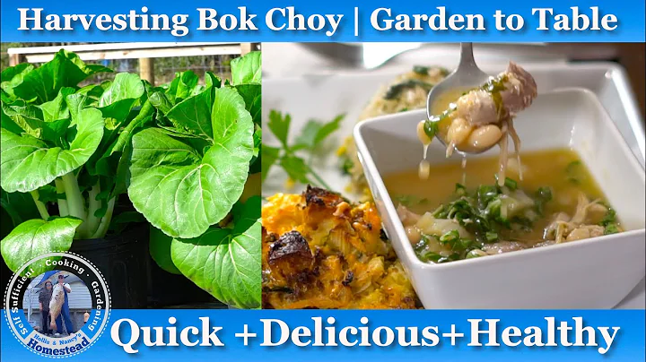Easy Bok Choy Soup Recipe - Healthy, Delicious, an...
