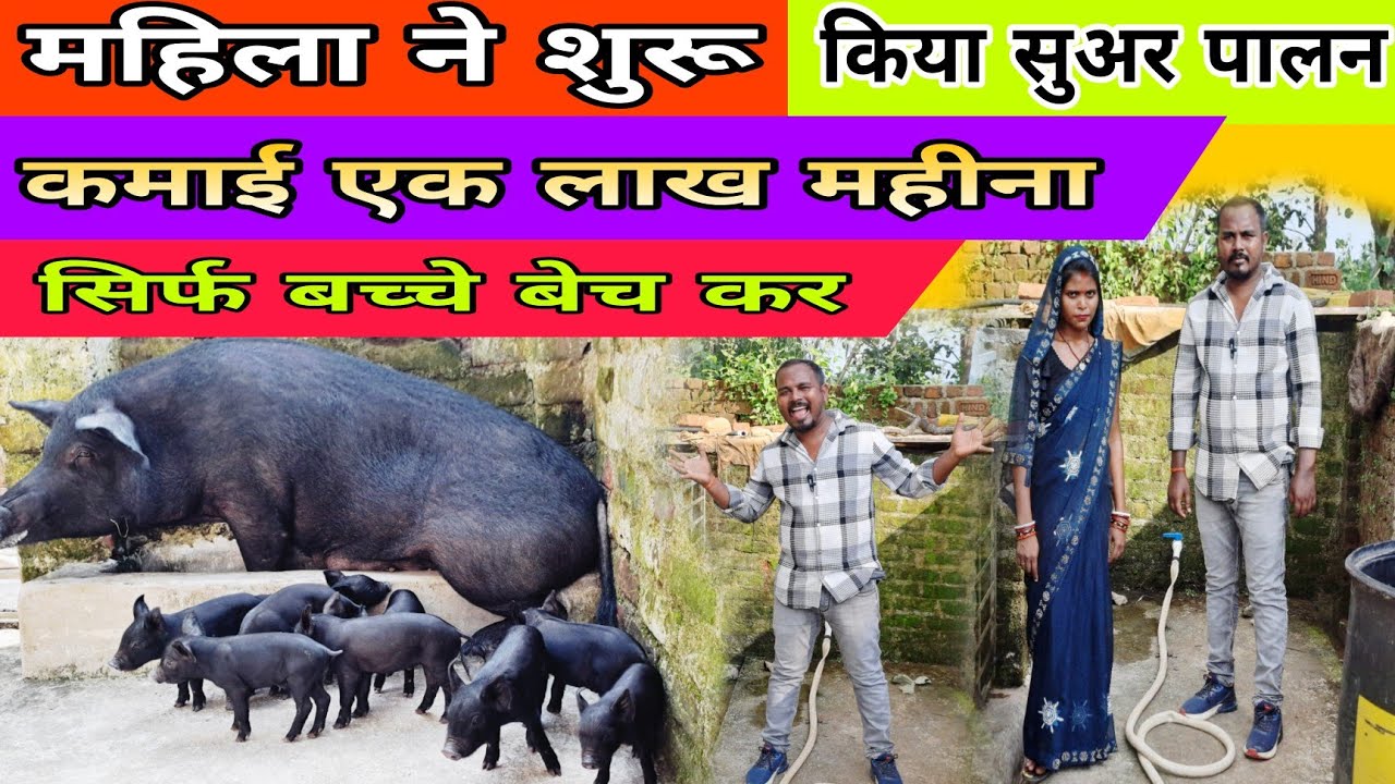 Woman did pig farming || Earning one lakh rupees per month || Rj farmer 2025