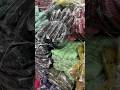 Chiffon pom pom lace border Ready color #fashion #like #dupatta