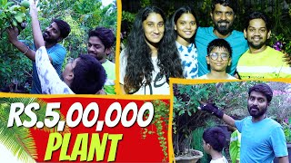 SHOCKING: 5 Lakh Rupees Plant 🌱☘️ | Shopping with My Kids🛍❤️ | Mr Makapa