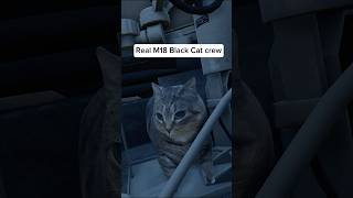Real M18 cat crew 😸