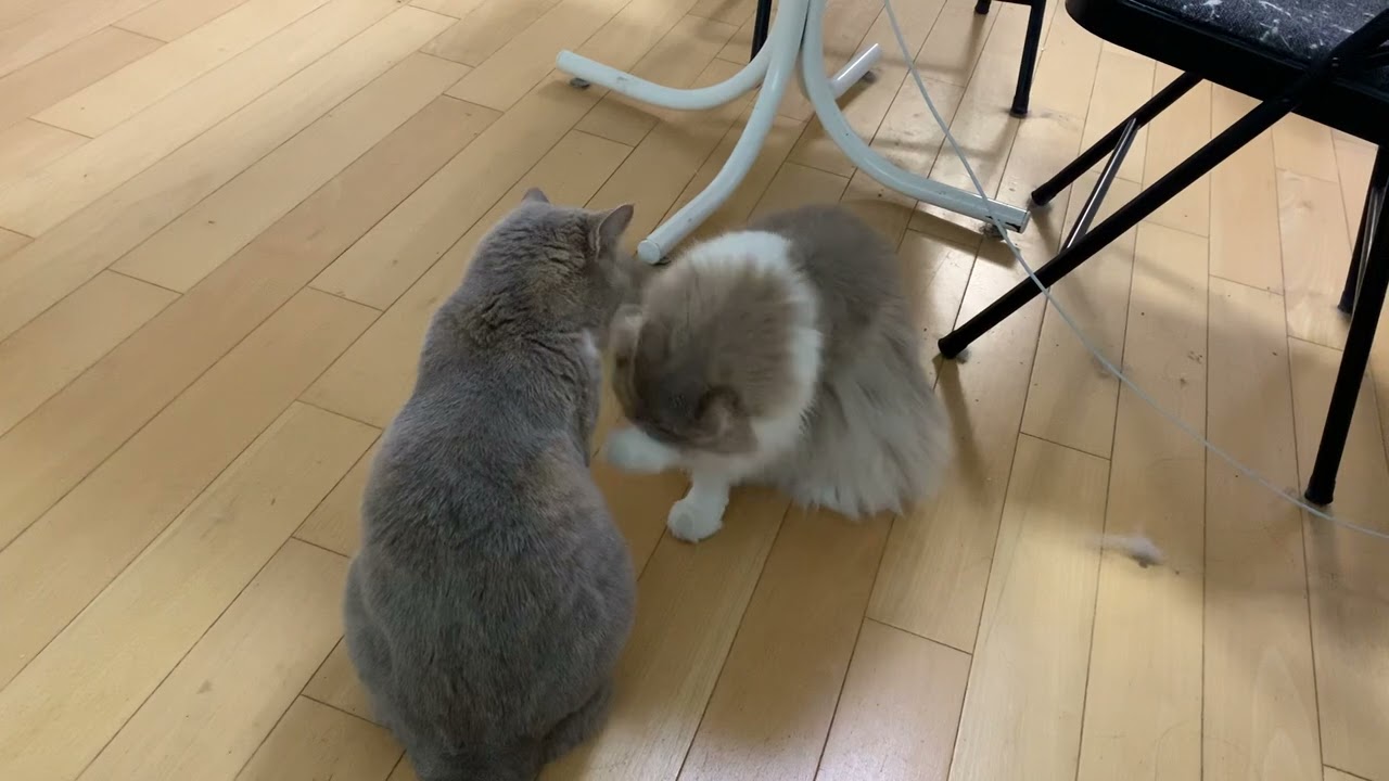 Mutually beneficial partnerships