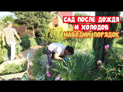 САД после ДОЖДЕЙ. Как мы справляемся без помощников? Работа, отдых, чаепитие и речка! ВЛОГ.