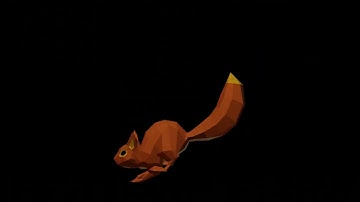 Squirrel run cycle