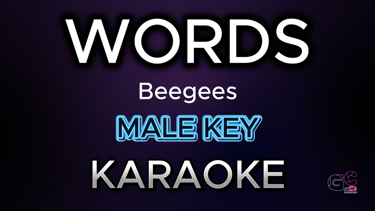 WORDS | Beegees | (FULLBAND KARAOKE HQ) Male key