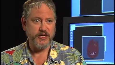 Anemone | Finding Nemo